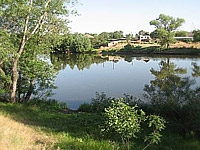 Гостиница Лесная сказка