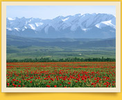 Горы Кыргызстана