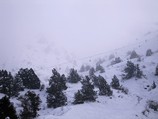 Бельдерсайская канатка
