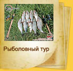 В поисках беззубого хищника