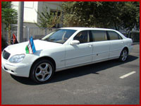 Mersedes-Benz Limo S-class 220-500
